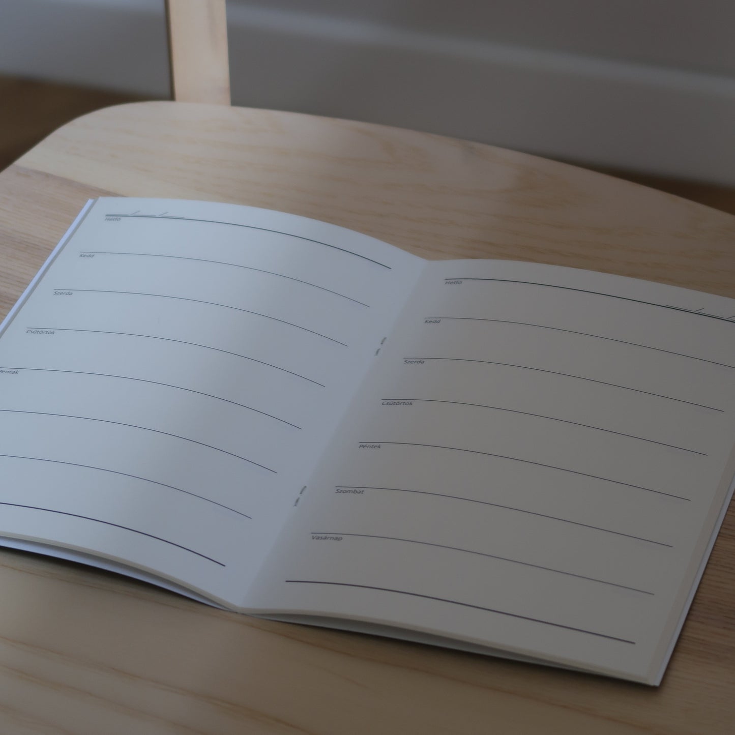 Öröknaptár füzetbelső Traveler's notebookhoz