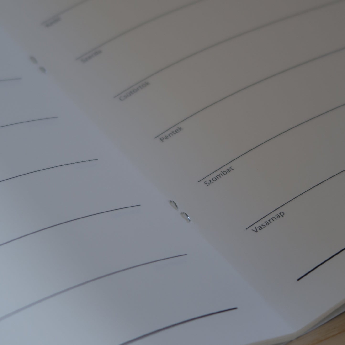 Öröknaptár füzetbelső Traveler's notebookhoz