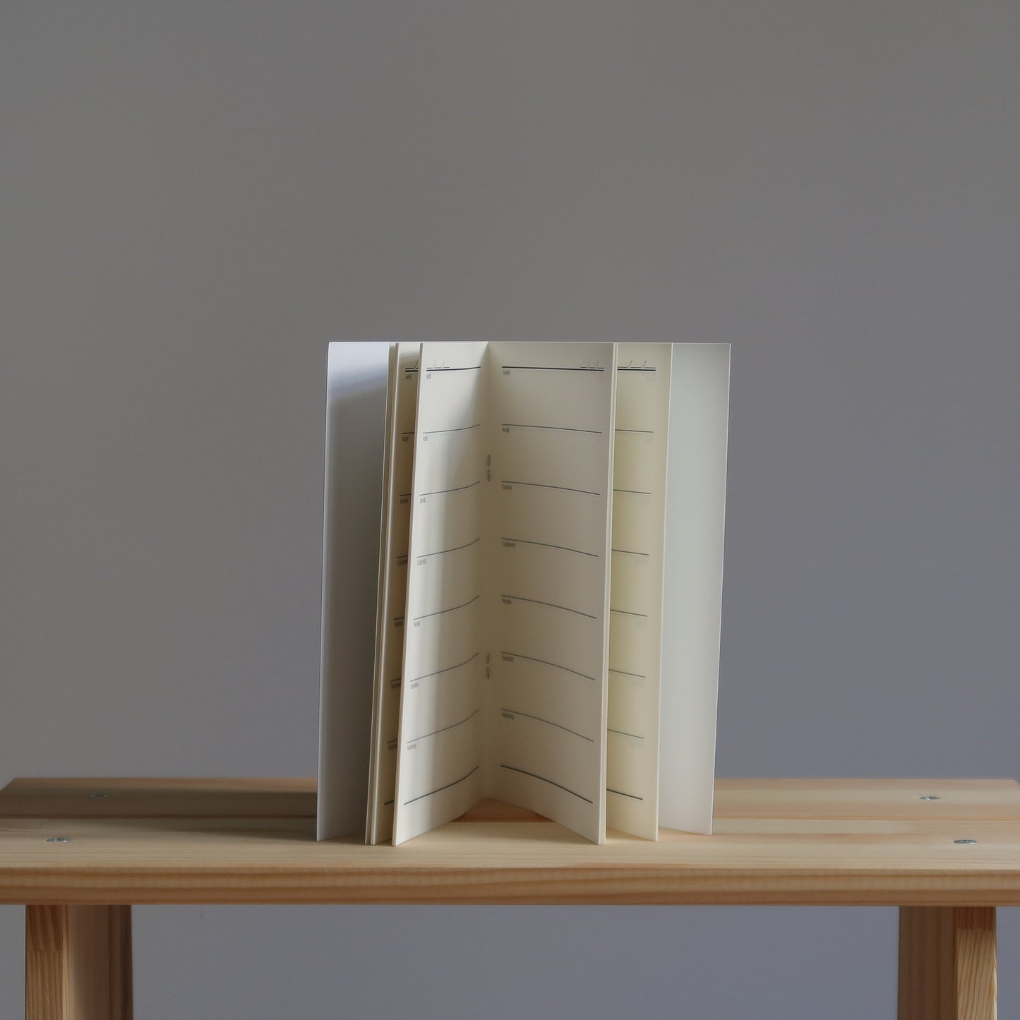 Öröknaptár füzetbelső Traveler's notebookhoz
