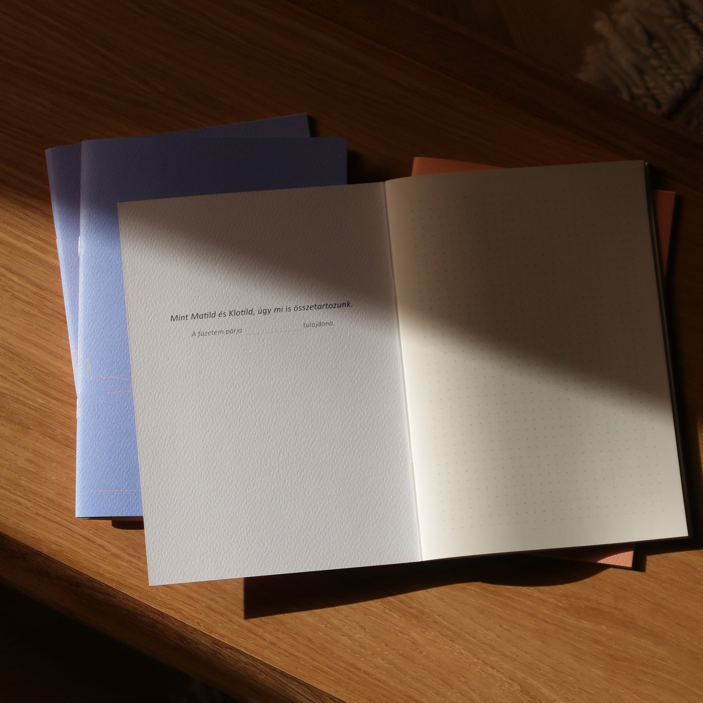 Páros füzet - Klotild paloták