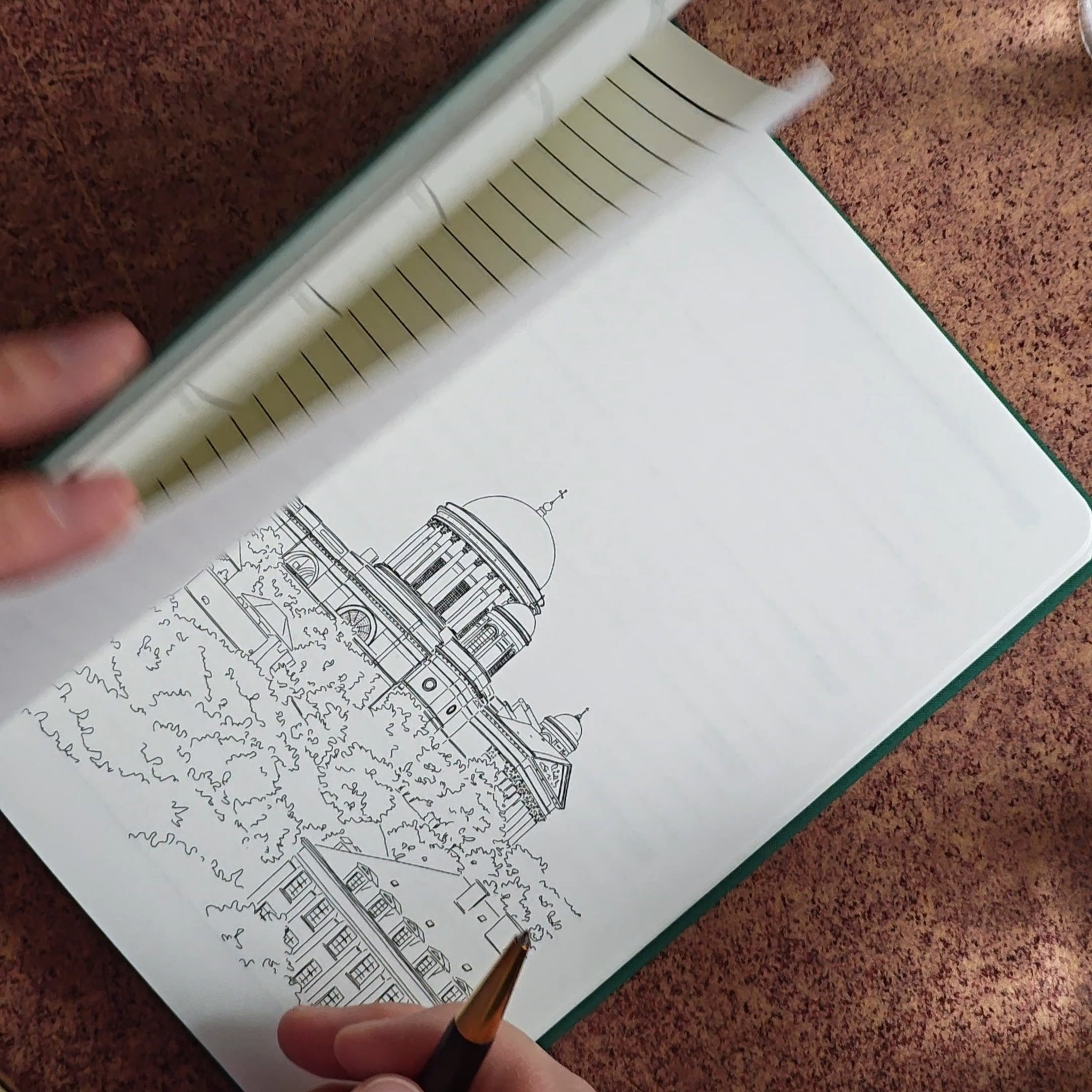 Illusztrált naplók